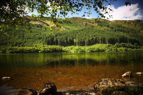 Skaisti meži Lielbritānijā, lai izmēģinātu mežu peldēšanās