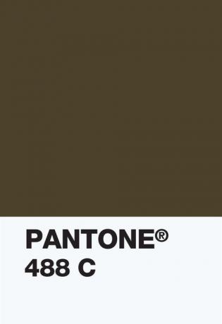 Pantone Color Institue - krāsu paraugs 448c - necaurspīdīgs dīvāns