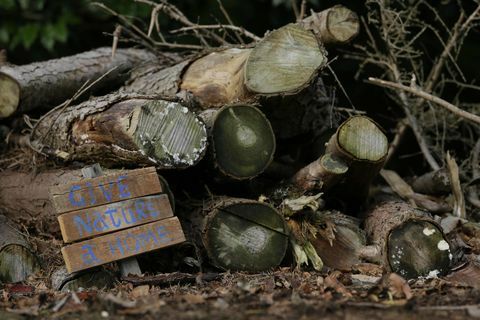 Savvaļas dzīvnieku mājas rudens dārzā