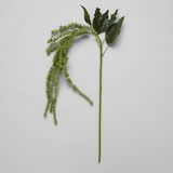 Faux Green Amaranthus aerosols