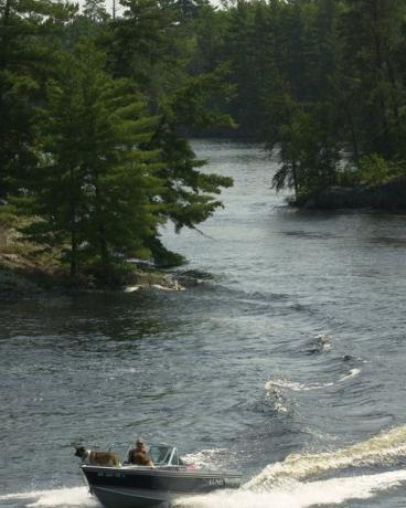 Skrienot cauri šaurumiem, kas ved uz Kettle Falls, atdalot Lietainu ezeru un Kabetogama ezeru uz Minesotas un Ontario robeža, laiva tuvojas Nacionālā parka dienesta piederošajai piestātnei pie Kettle Falls Viesnīcā.