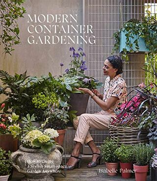 Mūsdienu konteineru dārzkopība: kā izveidot stilīgu mazas vietas dārzu jebkurā vietā