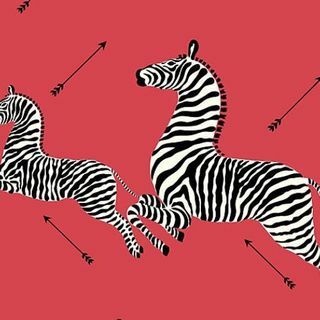 Scalamandre Zebras - fona attēli Masai sarkani fona attēli