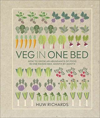 Dārzeņi vienā gultā: kā katru mēnesi audzēt pārtikas pārpilnību vienā paaugstinātā gultā