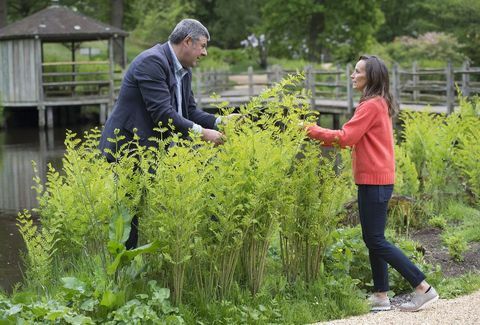 Philippa Craddock un John Anderson apspriež ziedu displejus kāzām Savill dārzā