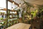 Airbnb un Pantone sadarbojas Greenery 'Outside In' mājā Londonā