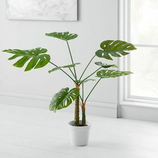 Monstera mākslīgais augs podos