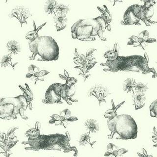 Iedvesmojies no Krāsu Bunny Toile At4263 fona attēla