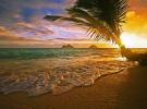 Havaju salas vēlas jums samaksāt 60 000 ASV dolāru par darbu Paradīzē