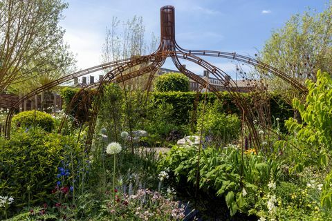 Mangrove by grow2know projektēja Tayshan Haiden Smith un Denijs Klārks, ko sponsorēja projekts, kas atmaksājas, lai atbalstītu grow2know cic šovu Garden Rhs Chelsea ziedu izstāde 2022