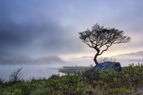 Rokasgrāmatas uzvarētājs Džordžs Evanss, Llyn Dinas, Craflwyn un Beddgelert