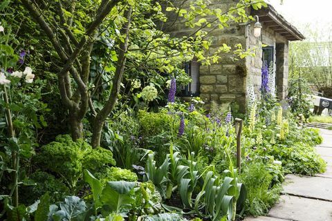 Chelsea Flower Show 2019 - Marka Gregorija sveiciens Jorkšīras dārzā