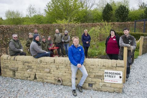 RHS Harlow Carr, Ziemeļjorkšīrā, tika atklāts pirmais pastāvīgais Hedgehog Street dārzs Lielbritānijā