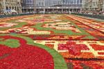 Šis iespaidīgais ziedu paklājs ir izgatavots no 700 000 Begonijas ziedlapiņām