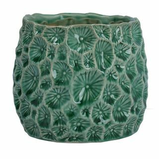 Zaļa keramikas krātera augu pods