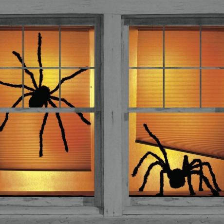 Ēnu zirnekļu logu plakāti