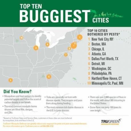 trugreen infograpic 10 visvairāk kļūdu piepildītās pilsētas