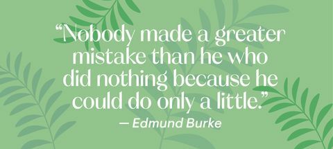 Edmunda Bērka citāts