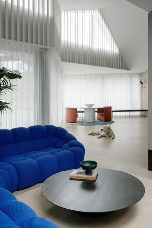 viesistaba ar zilu dīvānu