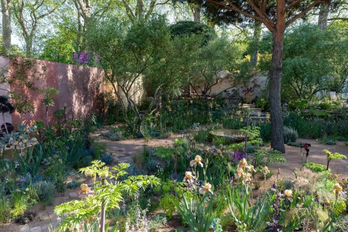 Čelsijas ziedu šovs 2023. gada kopšanas ainavu dārzs, ko izstrādājusi Sarah Price