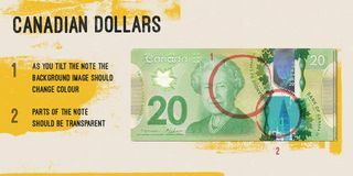 Kanādas dolārs - viltotas zīmes
