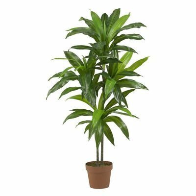 Real Touch 48 collas H Zaļā Dracaena zīda augs