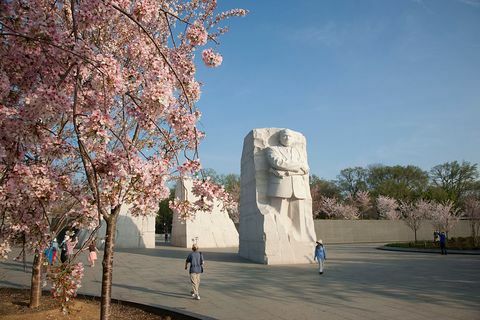 ķiršu ziedu nacionālais centrs Martina Lutera Kinga jaunākā memoriāls