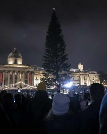 trafalgāra laukuma neapgaismota Ziemassvētku eglīte