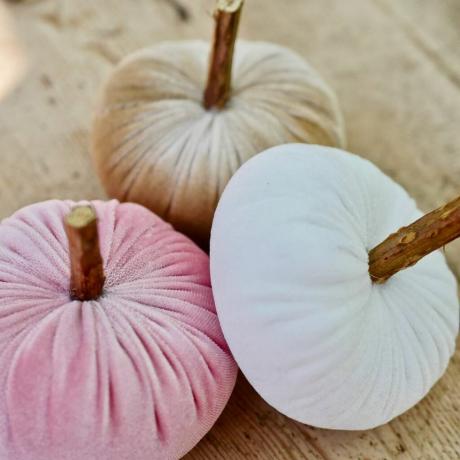 Pastels Velvet Pumpkin Trio