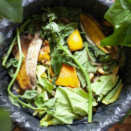 bioloģiskā pārtika komposta traukā ar augļiem, dārzeņiem un zaļumiem