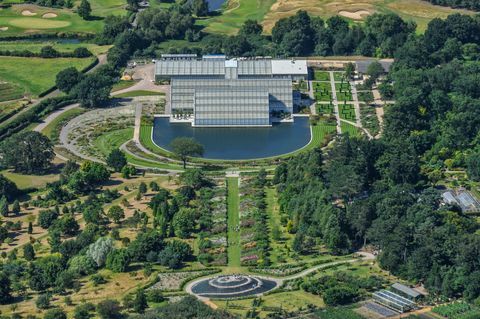 Atmosfēras skats, dēļ, noteiktais artikuls, botānisks, Gardens, uz, RHS, Wisley, Surrey