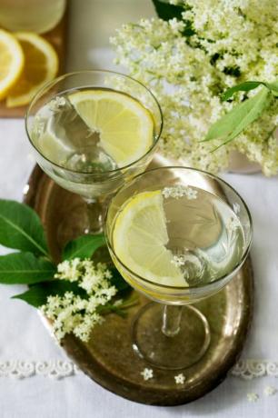 Atdzesēts dzēriens ar citronu un elderflower sīrupa glāzēs uz metāla paplātes. Zemniecisks stils.