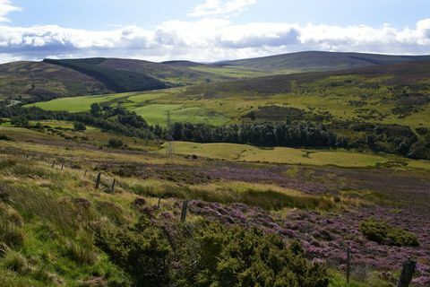 Cairngorms nacionālais parks