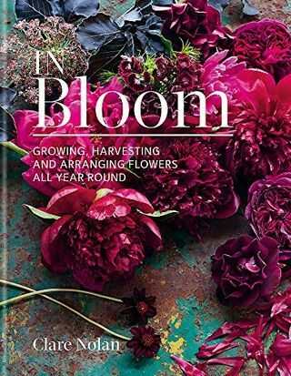 In Bloom: Ziedu audzēšana, novākšana un kārtošana visu gadu