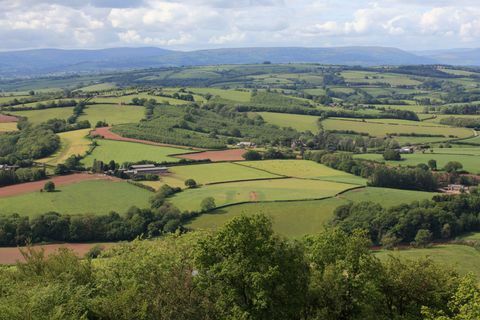 Kemeys Folly - Coed Y Caerau Lane - skati - Savills