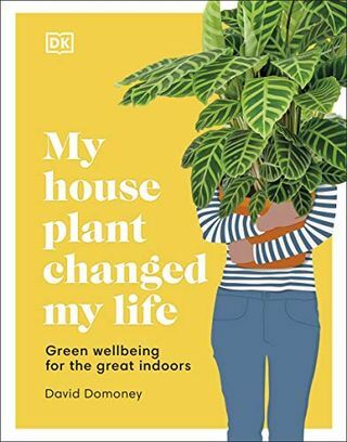 Mans mājas augs mainīja manu dzīvi: zaļa labklājība lielajiem iekštelpām