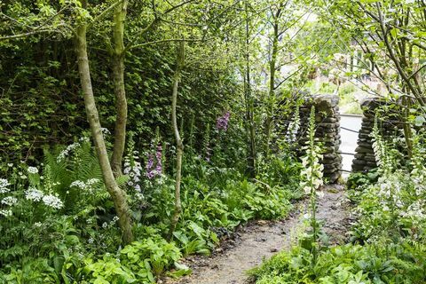 Chelsea Flower Show 2019 - Marka Gregorija sveiciens Jorkšīras dārzā