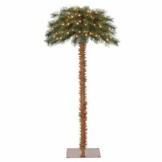 Tropu Ziemassvētku palma 