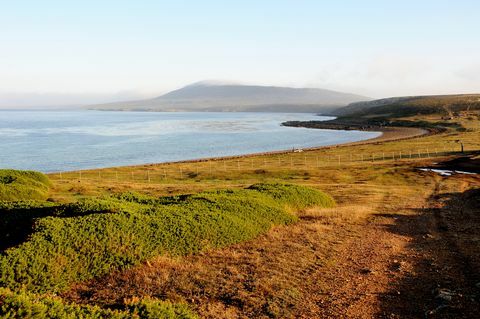 Ainava pie Pebble Island Lodge, Pebble Island / Folkland salām