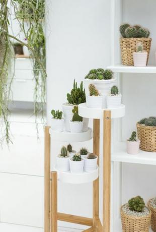 IKEA un Indoor Garden Design kopīgi izveidoja displeju RHS Chelsea Flower Show 2017
