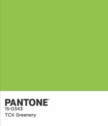 Pantone COTY 2017 krāsu mikroshēma