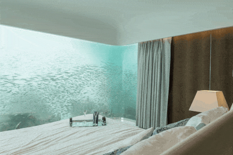 Peldoša jūras zirdziņa guļamistaba