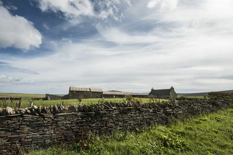 Holm no Grimbister - Skotija - Orkney - siena - Savills