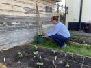 Jauns ziedu projekts redz, kā briti audzē ziedus veciem kaimiņiem