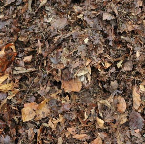 otrreizējās pārstrādes lapas, daļēji sapuvušas rudens rudens dārza lapas, veidojot lapu veidni, lai izmantotu dārzā kā podiņu maisījumu vai mulčēšanas materiālu vai pievienošanai komposta kaudzei