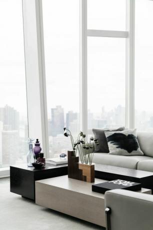 viesistaba, koka māksla, pelēks dīvāns, Ņujorkas pilsēta, lieli logi
