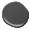 Bēra 2024. gada labākā krāsa, krekinga pipari, ir maigi melna