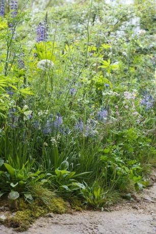 Laipni lūdzam Jorkšīras dārzā Chelsea Flower Show 2019