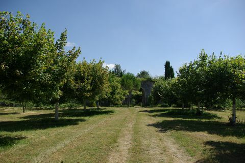 Richelieu - Ekskursijas - Touraine - koki - Francija - Savills