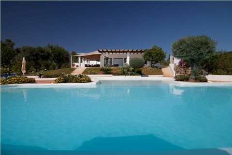 villa dalia - Ibiza - baseins - Zoopla